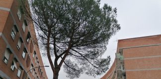 Il Quartiere INCIS Decima nella periferia romana Roma. Quartiere INCIS Decima