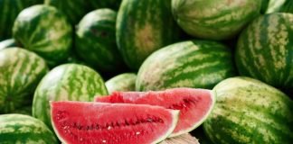 Angurie. Crescita della produzione nel Lazio, prezzi in calo con l’aumento dell’offerta Buccia d'anguria