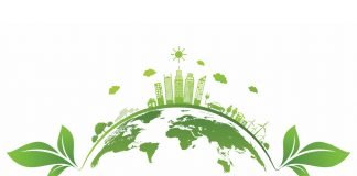 Sostenibilità e competitività: la leva green per l’impresa, il 17 giugno arriva un webinar gratuito della Camera di commercio