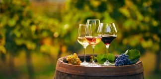 “In vino non veritas” di Report, la denuncia contro la critica enologica italiana calici di vino