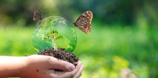 Sostenibilità, ESG e finanza, arriva un ciclo di due webinar a cura di Innexta e della Camera di commercio biodiversità al Consorzio Lessini Durello