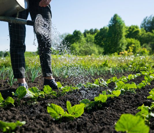 Earth Day – 22 aprile 2026 FederBio: “Il biologico protegge la Terra, la biodiversità e le comunità locali” biologico-in-aumento-nel-2020