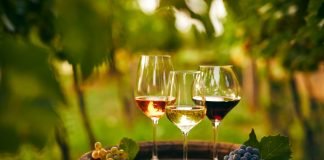 FederBio: opportunità e sfide dei vini biologici e biodinamici italiani alla 57^ edizione Vinitaly