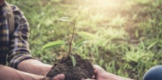Misure regionali 2025: quasi 20 milioni promuovere l’agricoltura biologica in Italia Agricoltura rigenerativa