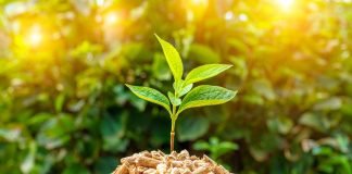 Società benefit: oltre il profitto, il valore dell’impatto, il 16 marzo arriva il webinar gratuito
