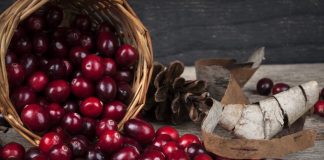 Mirtillo rosso: proprietà, usi e controindicazioni mirtilli rossi cesto