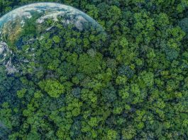 L’Italia ha già terminato le risorse per il 2025: lo dice la scienza
