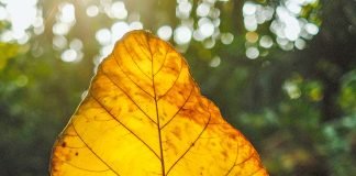 L’ostacolo invisibile nelle Relazioni