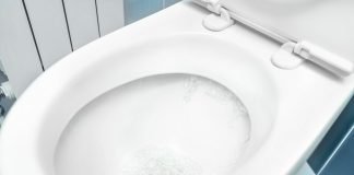 L’acqua del gabinetto è potabile e la sprechiamo: potremmo riciclarla acqua wc scarico gabinetto