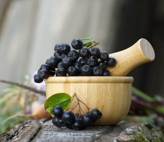 Piccoli frutti, la nuova frontiera è premium: croccantezza e qualità guidano gli acquisti Bacche di aronia
