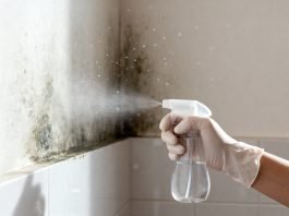 Bagno senza finestra: trucchi per eliminare l’umidità Bagno umidità rimedio spray