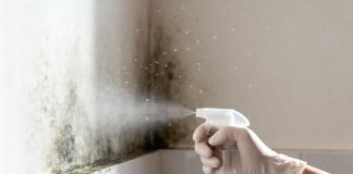 Bagno senza finestra: trucchi per eliminare l’umidità Bagno umidità rimedio spray