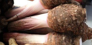 Non è una patata, è il taro: proprietà e come si usa Taro tubero