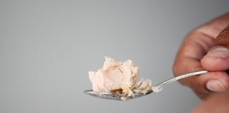 Tonno in scatola e mercurio: quante volte a settimana si può mangiare? Tonno scatola cucchiaino
