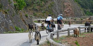 GT20, la Grande Traversata della Corsica in bicicletta Corsica Cyclo GT20 2026 percorso