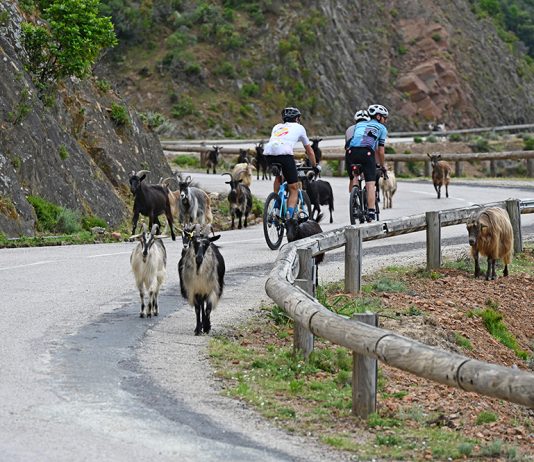 GT20, la Grande Traversata della Corsica in bicicletta Corsica Cyclo GT20 2026 percorso