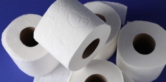 Carta igienica addio: entro il 2026 arriva l’alternativa green Rotoli di carta igienica su sfondo blu