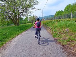 CAT, il grande anello cicloturistico intorno a Torino Via Francigena da Viverone a Bollengo