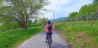 CAT, il grande anello cicloturistico intorno a Torino Via Francigena da Viverone a Bollengo