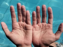 Perché le dita diventano rugose nell’acqua? Il motivo non è quello che pensate Dita rugose piscina
